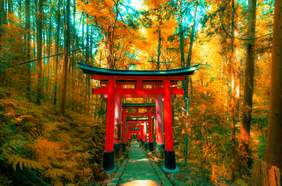 Temples & Shrines